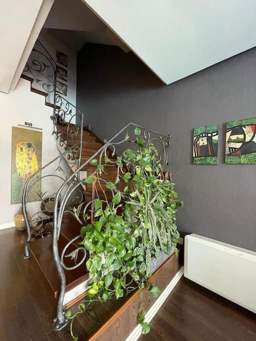 Villa Tranquility In With Pool Tirana